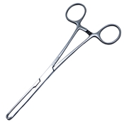 Thomas-Allis Tissue Forceps, 6x7 Teeth, 8" 